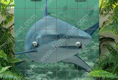 Printed Shark on Shower Tiles